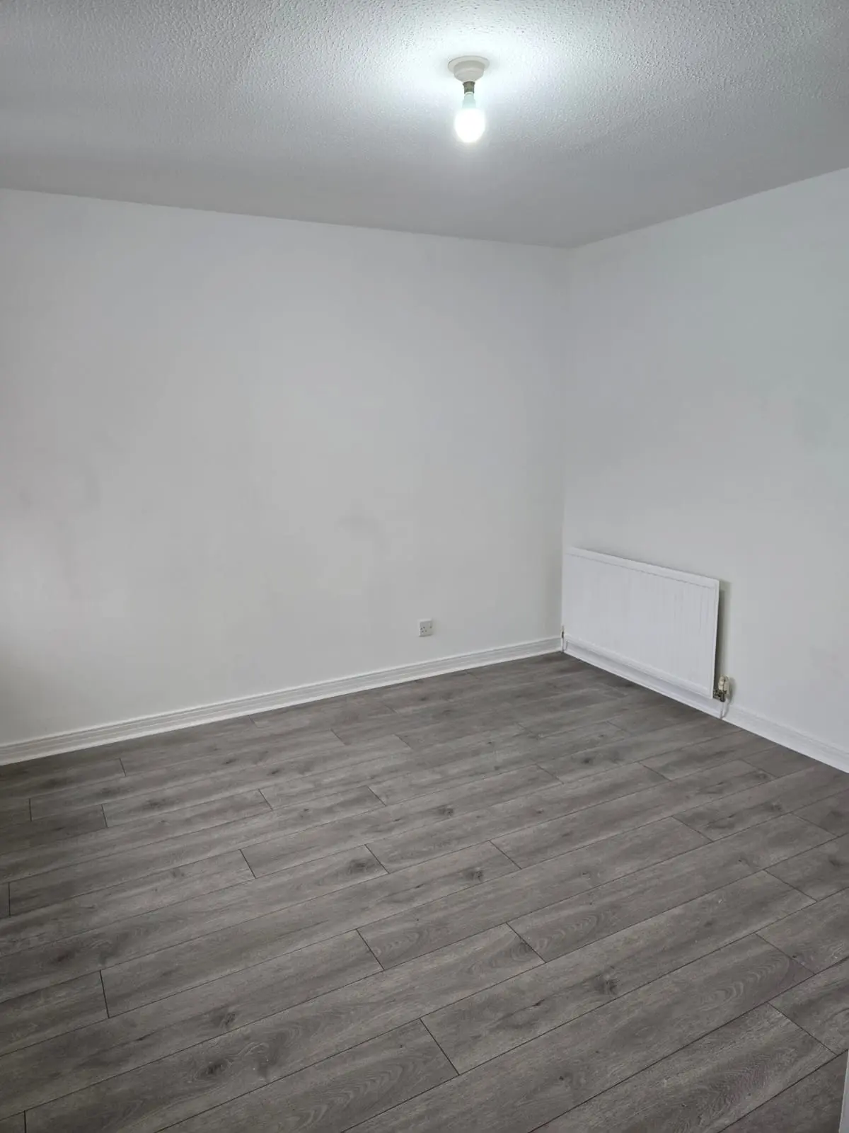 2 bedroom house to rent